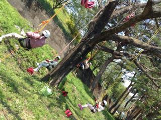 ツリーイングメイン画像