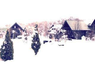 冬のアクティビティー＆宿泊の画像