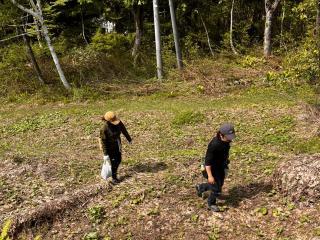 ガイドの案内もつくので初心者でも簡単に山菜狩りが楽しめます(>_<)