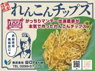 茨城県産こだわりのれんこんチップス｜取り寄せ商品｜有名で大人気商品