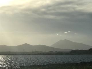 れんこん畑から見える霞ケ浦と筑波山