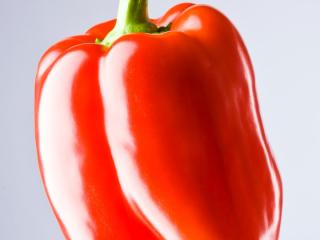 朝採れ野菜のグリーンサラダの画像1