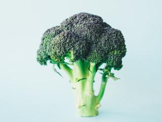朝採れ野菜のグリーンサラダの画像2
