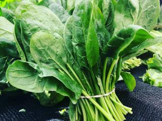朝採れ野菜のグリーンサラダの画像3