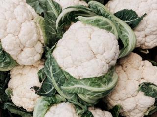 朝採れ野菜のグリーンサラダの画像4