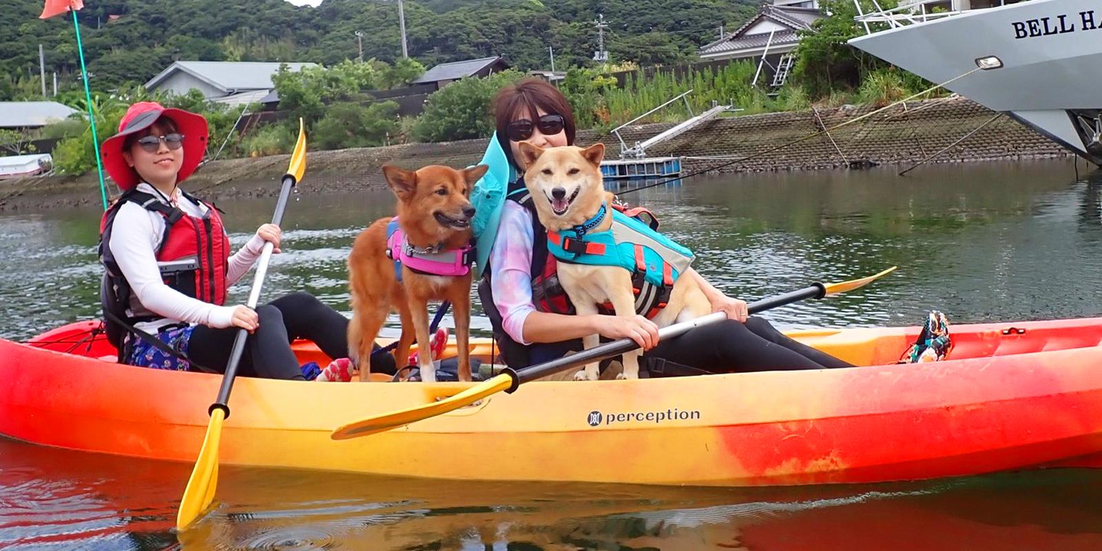 シーカヤック＆SUP体験なら「湊CAFE＆PIRATES」