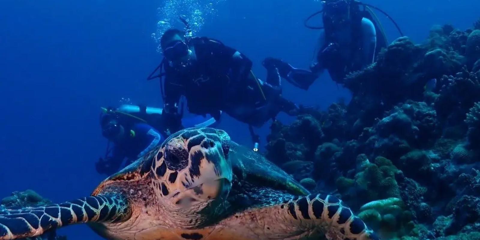 大阪・谷町九丁目駅から徒歩1分のダイビングショップ「Reverse」