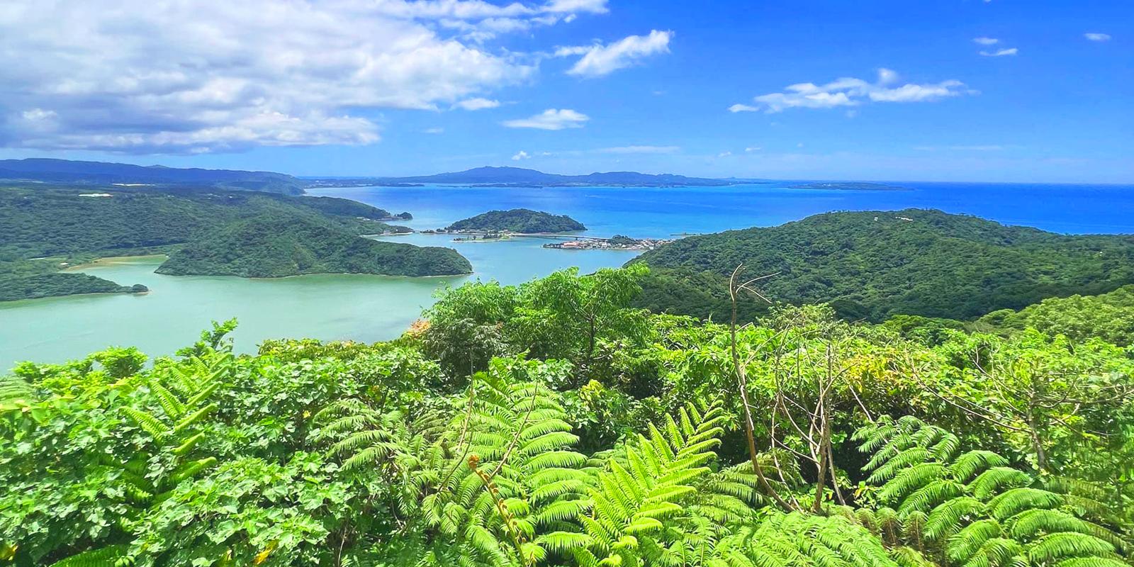 やんばる観光クリエイトぶながやー