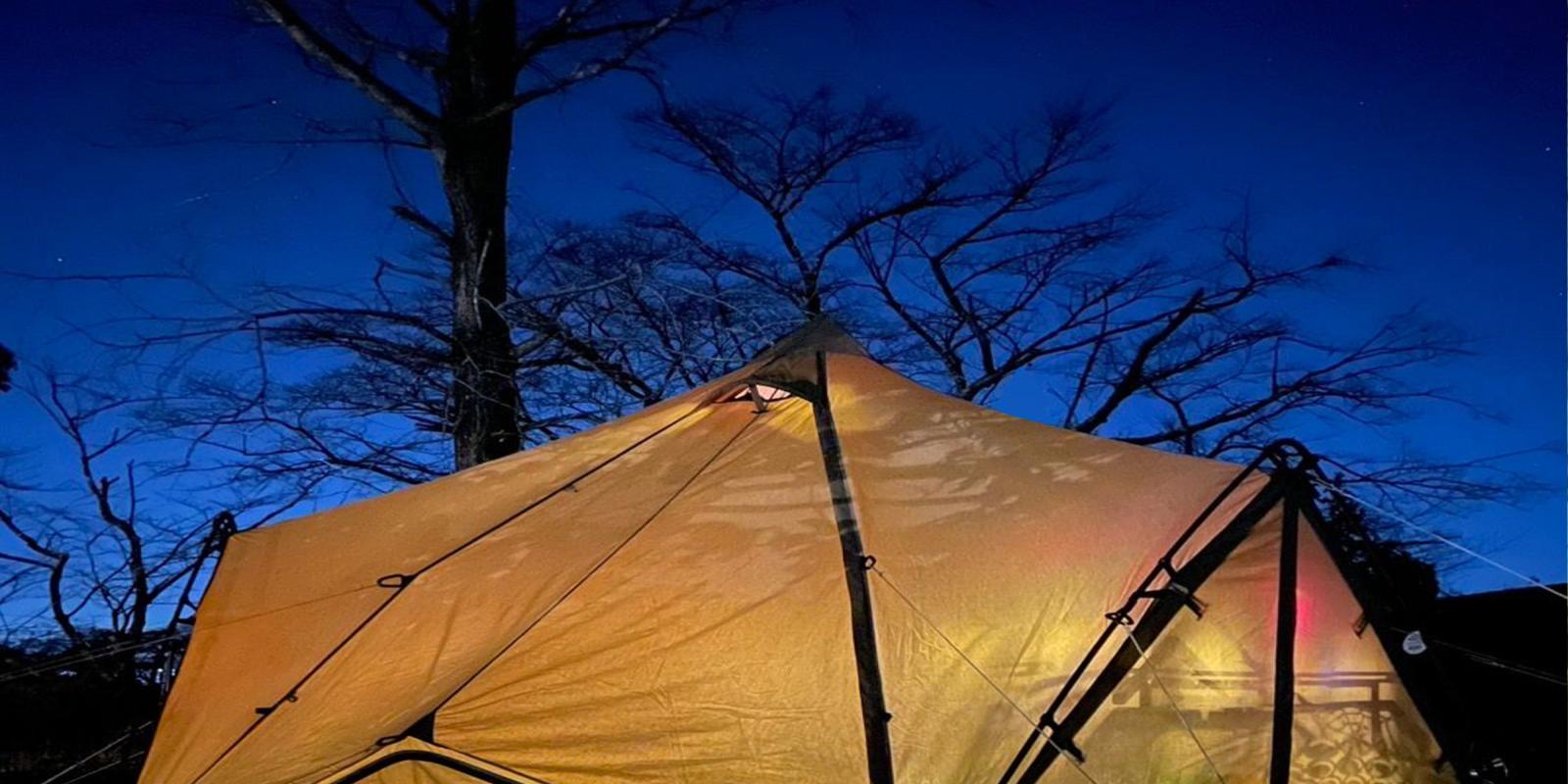 茶畑に囲まれた自然豊かな空間で特別な体験を | 音の杜キャンプ場