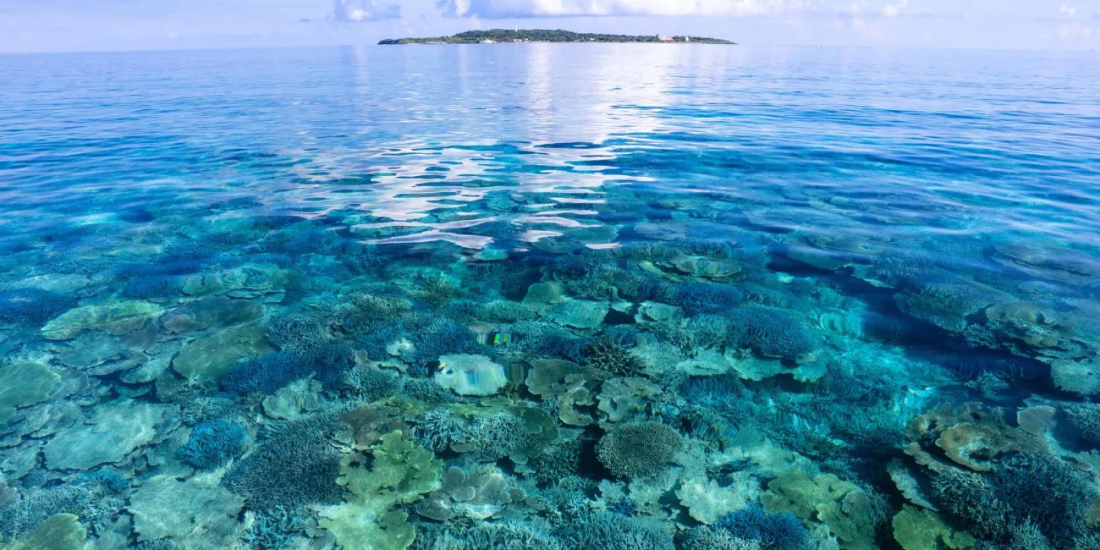 西表島で特別な体験を 西表島 女性オーナーショップ grace（グレイス）