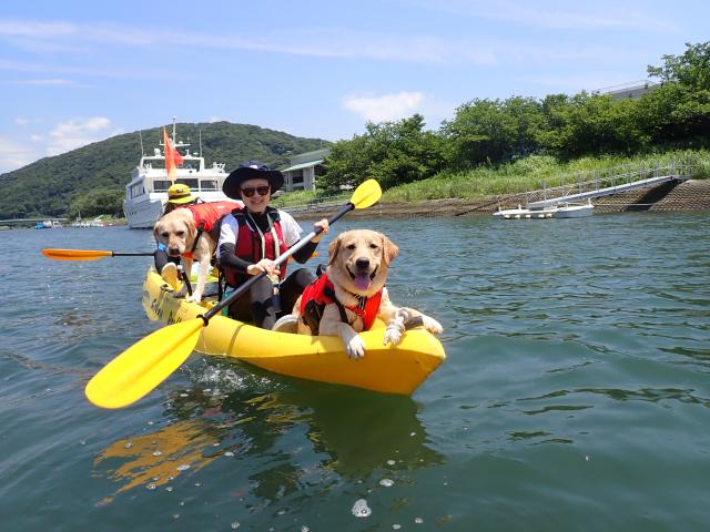 南伊豆の自然を凝縮！ちょい乗りカヤック2時間コース