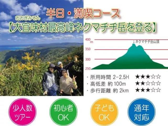 【沖縄・やんばる】大宜味村最高峰ネクマチヂ岳を登る