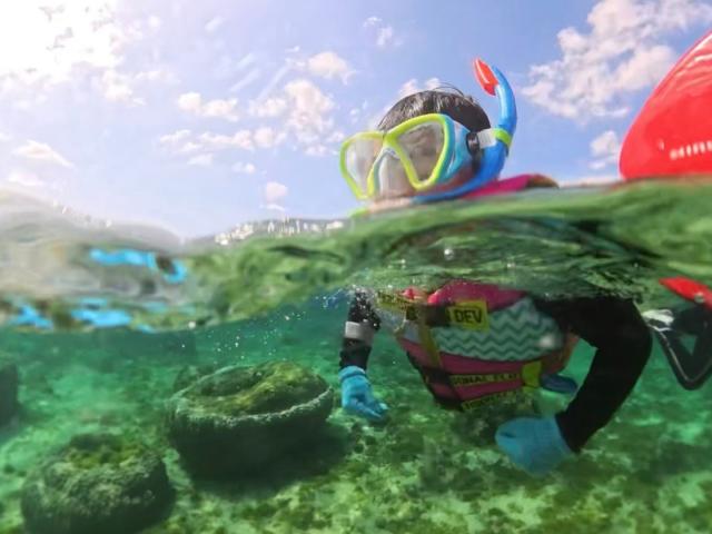 沖縄の海で感動体験！ビーチ体験ダイビング