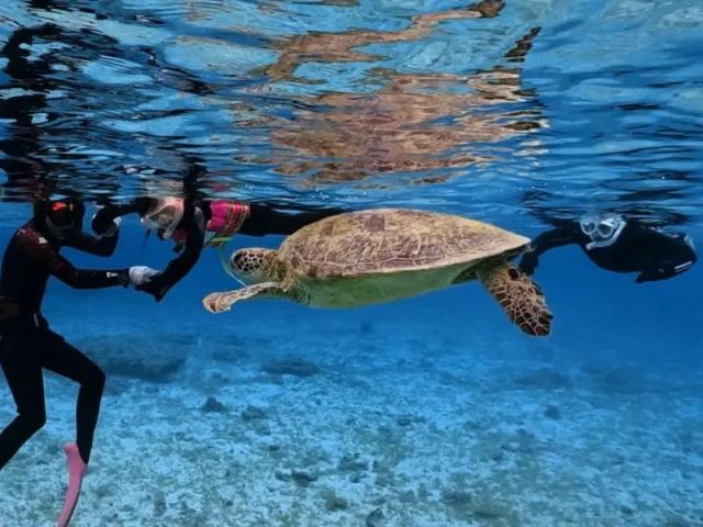 親子で海の冒険！奄美の思い出を家族みんなで