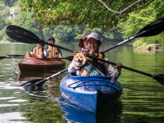 カヌーに乗って愛犬と一緒にドキドキわくわくのアウトドア体験 イメジ
