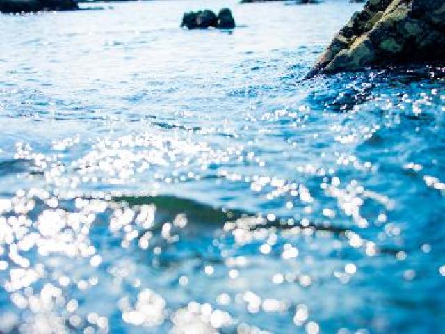 【たらい舟体験3～5名様用】佐渡島で［1泊2食付］青い海でまだ見ぬ絶景を…♪ イメージ