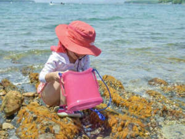 【磯遊び体験1～2名様用】夏休みは佐渡の海で遊ぼう☆［1泊2食付］ イメージ