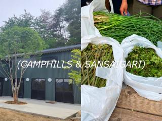 アウトドアで大人気の山菜狩りとキャンプセット