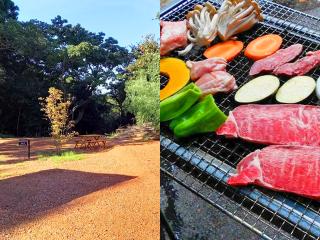 機材持ち込みのキャンプサイト 10名様まで（BBQ＆朝食追加プラン ）