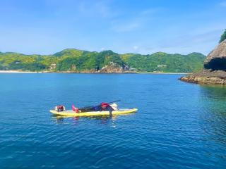 【南伊豆】愛犬と水上散歩！ちょい乗りSUP2時間体験コース