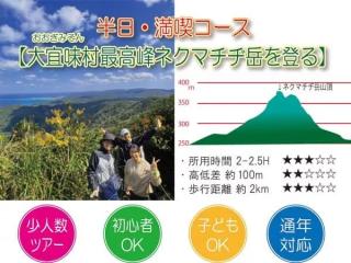 【沖縄・やんばる】大宜味村最高峰ネクマチヂ岳を登る