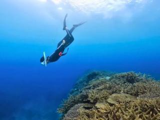 奄美大島の海を1組限定で楽しむシュノーケリング体験