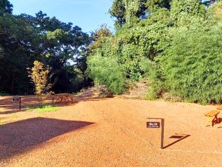 キャンピングカー持ち込みOK！佐渡のキャンプ場 Sado Camp