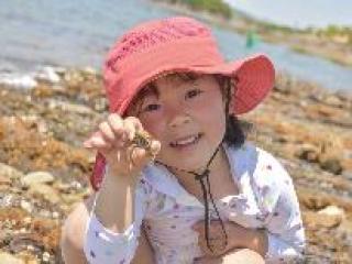 【磯遊び体験2～4名様用】夏休みは佐渡の海で遊ぼう☆［1泊2食付］ イメージ