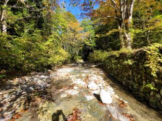 キャンプサイトすぐ横を小川が流れているので水遊びに最適です