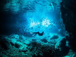 【完全貸切】沖縄本島周辺ビーチ・体験ダイビング イメージ2