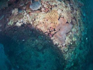 北谷の海底ピラミッド【沖縄の海底遺跡】・体験ダイビング イメージ4
