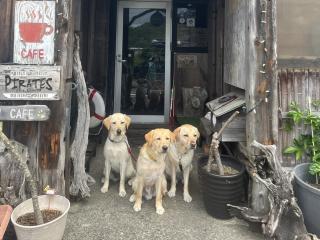 ちょい乗りカヤック【2時間コース】 イメージ1