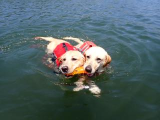 ちょい乗りカヤック【2時間コース】 イメージ7