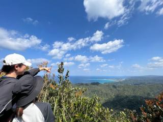 【大宜味村最高峰ネクマチヂ岳を登る】世界自然遺産 やんばるの森 トレッキング エコツアー 半日・満喫コース1 イメージ1