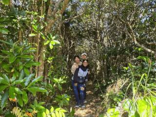 【大宜味村最高峰ネクマチヂ岳を登る】世界自然遺産 やんばるの森 トレッキング エコツアー 半日・満喫コース1 イメージ3