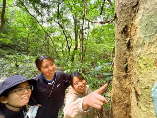 【大宜味村最高峰ネクマチヂ岳を登る】世界自然遺産 やんばるの森 トレッキング エコツアー 半日・満喫コース1 イメージ4