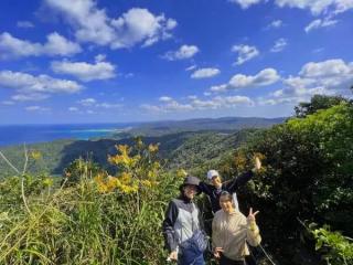 【大宜味村最高峰ネクマチヂ岳を登る】世界自然遺産 やんばるの森 トレッキング エコツアー 半日・満喫コース1 イメージ5