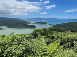 【ガジュマルの王様に会いに行こう♪】90分でやんばる体験!! 世界自然遺産 やんばるの森 トレッキング エコツアー イメージ1