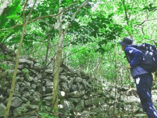 【ガジュマルの王様に会いに行こう♪】90分でやんばる体験!! 世界自然遺産 やんばるの森 トレッキング エコツアー イメージ3