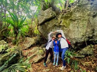 【ガジュマルの王様に会いに行こう♪】90分でやんばる体験!! 世界自然遺産 やんばるの森 トレッキング エコツアー イメージ5