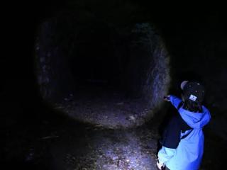 【大宜味村・やんばるの森ナイトツアー】沖縄｜貸切・子連れOK｜星空＆夜の生き物観察（1.5時間／少雨決行） イメージ6