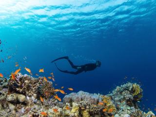 初心者専用ライセンス！初ダイバー最短らくらく2日取得♪お1人様大歓迎！ イメージ3