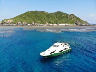 沖縄：那覇発、1日で楽しむ慶良間諸島シュノーケリングツアー イメージ2