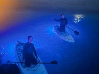 静かな海をゆっくりクルージング
