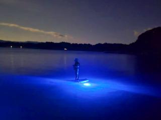 佐渡の海で過ごす忘れられない時間