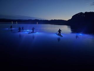 夕暮れから夜へ、静かな海をゆっくりクルージング