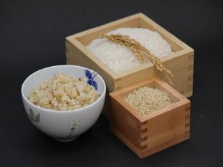 【朝食付プラン4名様用】郷土料理「いごねり」と、有機栽培米＆味噌の和定食 イメージ2