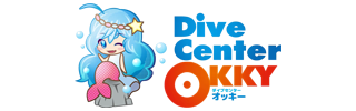 ダイブセンターOKKY | 「奄美大島でウミガメと泳ぐシュノーケリング｜初心者も安心の完全貸切ツアー」