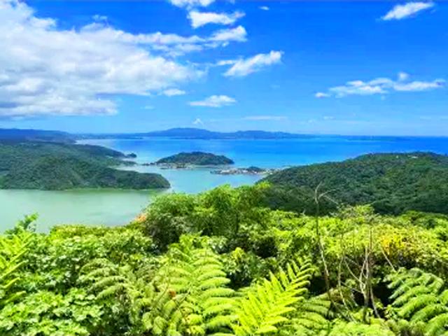 やんばる観光クリエイトぶながやー やんばる観光クリエイトぶながやー