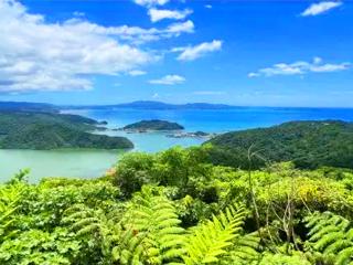 やんばる観光クリエイトぶながやー